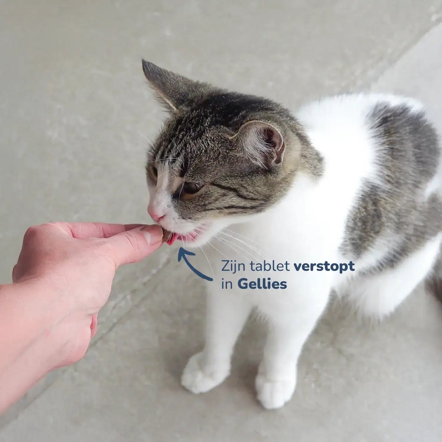 Kip & Kattengras Gummies